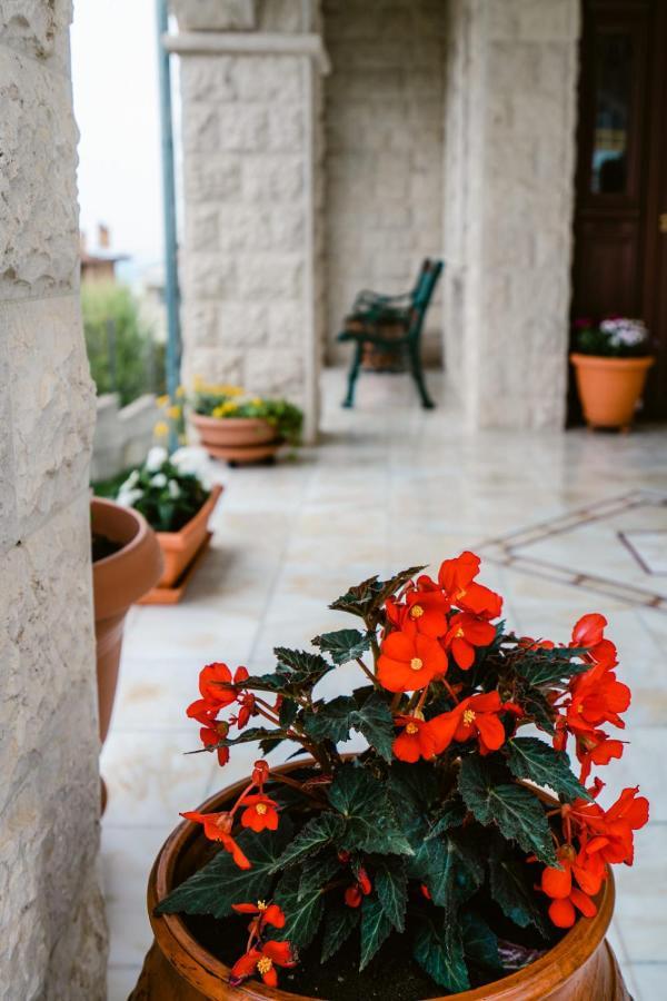 Veria Panorama Luxury Suite With Garden. Zewnętrze zdjęcie